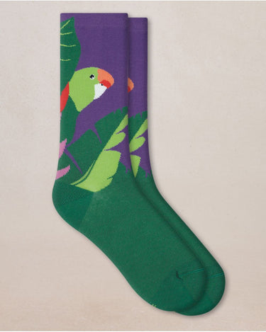 PARAKEET PATTERN SOCKS